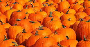 Pumpkin