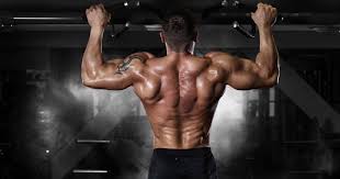 Back Workout GIF