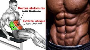 Abs Workout GIF